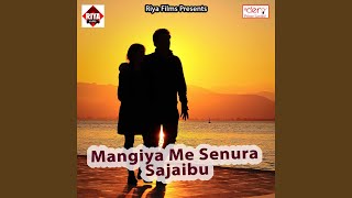Sali Dil Tor Tari Sa song artwork