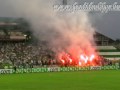 Ferencváros - ZTE 4-1 - HELL II.