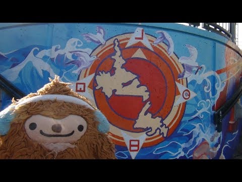 Maritime of My Life (Pt. 83) - George Street, St. John's, Newfoundland