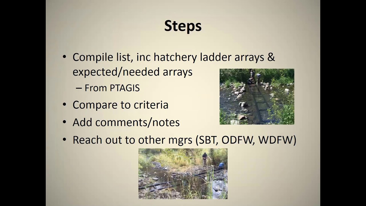 Assessment of PIT Tag Array Status in the Snake River Basin - Copeland