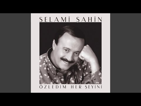 Selami Şahin - Özledim Her Şeyini cover