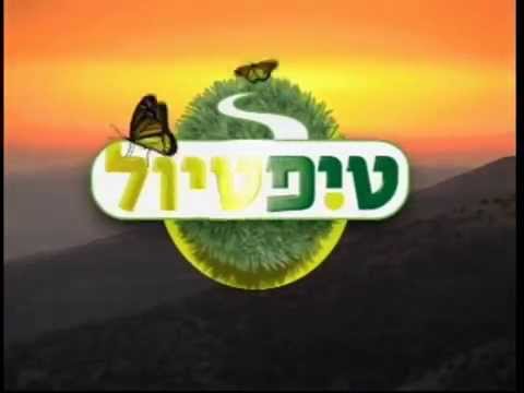 תמונה של שמורת טבע נחל שניר חצבאני
