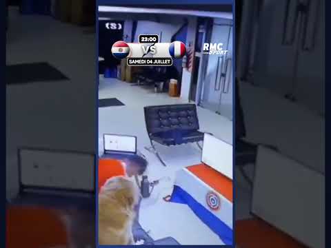 Ce supporter du Paraguay célèbre la qualif en 1/8e de CDM avec son chien !
