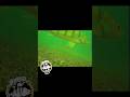 Video Thumbnail for Perch fishing  #icefishing #perch #icefishing #short