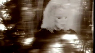 Dusty Springfield - Arrested by you (HD)