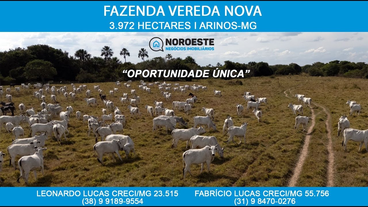 Fazenda em Arinos/MG