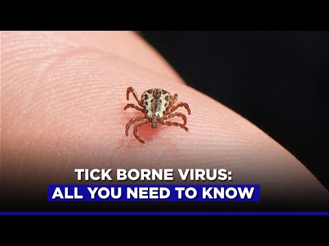 Tick Borne Virus: All You Need To Know