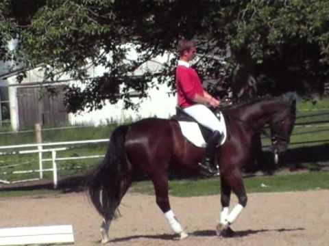 Casaretto-Gloriosus Wallach * 2004