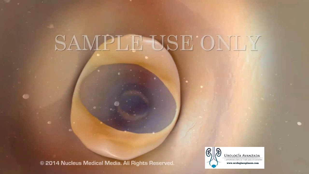 Alejandro Espinoza Guerrero-29