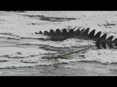 Fogg Dam, Northern Territory Australia - Feb 28. 2023