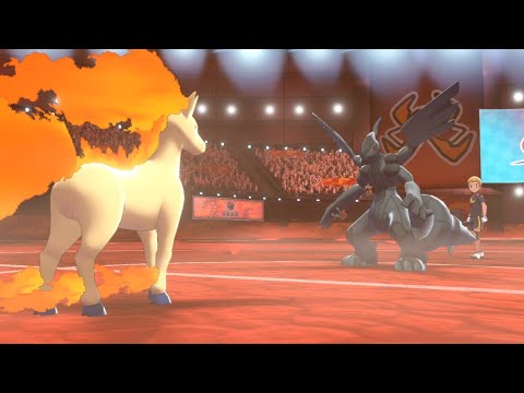 Rapidash Dashes to the Finish! Pokémon Sword and Shield Wi-Fi Battle