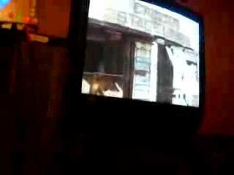 Twinnie - Hit Me Karaoke