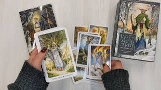 Видео о книге The Wildwood Tarot. Таро Дикого леса