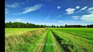 Alcest- Ciel Errant subtítulos al español