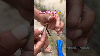 Download lagu कंचुआ से bam kaise pakde #shorts #youtubeshorts #india #bihar #subscribe #tips #support #fishing mp3