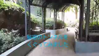秘密のトンネル