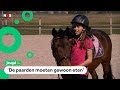 Zorgen bij manages: geldproblemen en paarden bewegen te weinig
