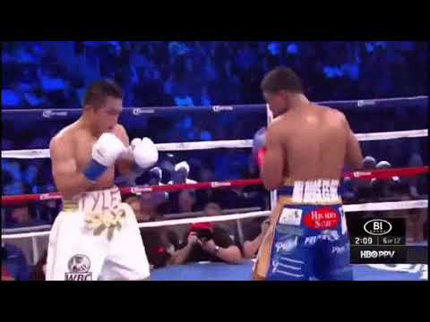 Roman Gonzalez-Brian Viloria highlights