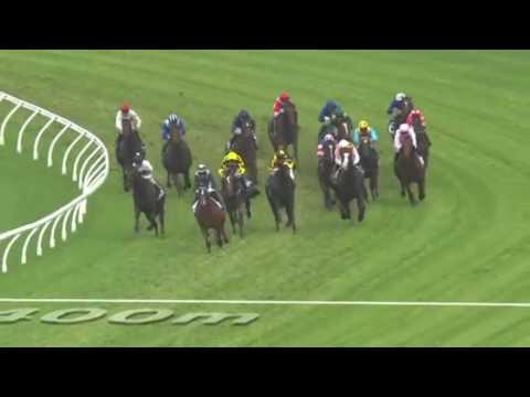 2017 Golden Slipper - She Will Reign