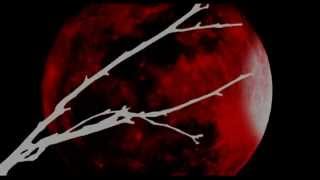 The White Stripes - Walking with a Ghost