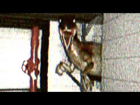 The Shed Incident (Found Footage)