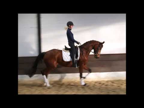 BETTY BROWN 4j. v. Buckingham - Santino VB 15.000,- Euro