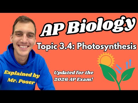3.4 Photosynthesis - AP Biology (Updated 2025-2026)