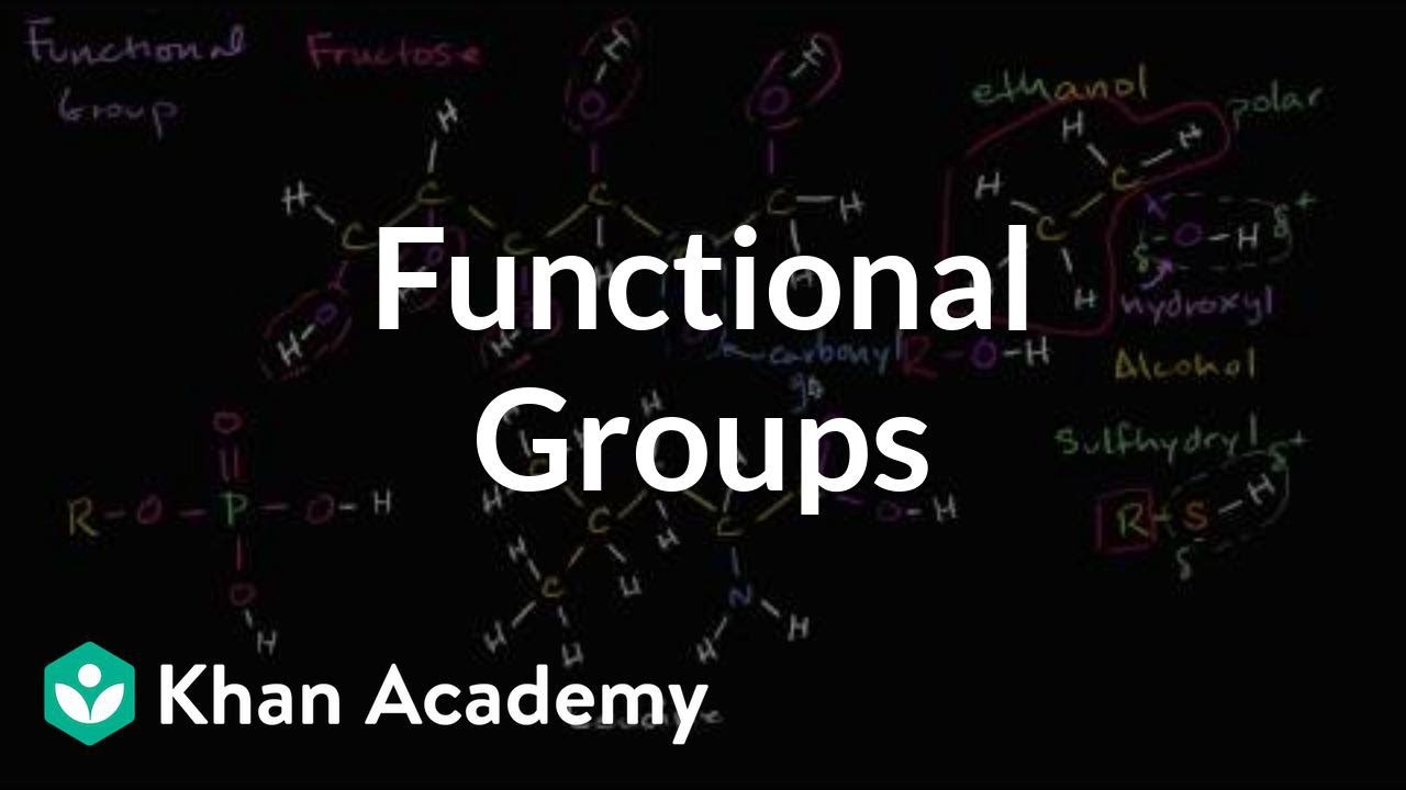 Functional groups | Properties of carbon | Biology | Khan Academy