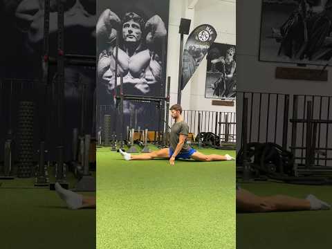 Spagat lernen 🤸 #spagat #tutorial