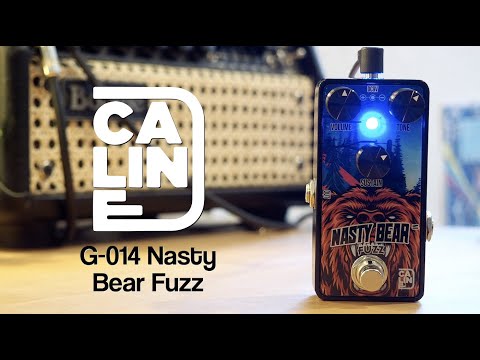 Caline Nasty Bear Fuzz | Reverb