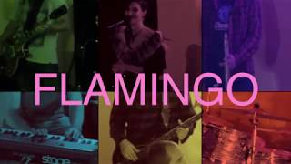SHADY JAGUAR - Flamingo live @ Rompeolas Oct. 20, 2017