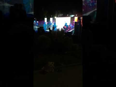 Pinta de magnate los tucanes de tijuana en vivo