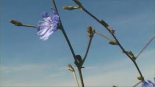 HÍREK A TERMÉSZETBŐL