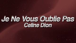 Céline Dion - Je ne vous oublie pas ❤️ (lyrics)