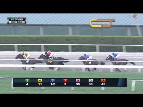 RACE REPLAY: 2017 Holy Bull Stakes Featuring Irish War Cry