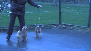 Neuronnetje and Spookje training