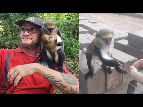 Le village des singes!!!