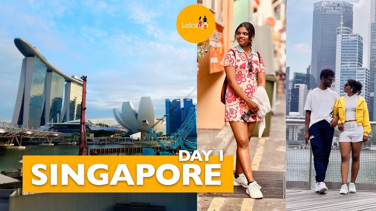 From Plane Views to Iconic Landmarks