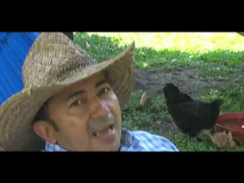 Video Parapetiando Un Guayabo de Meyer Beltrán