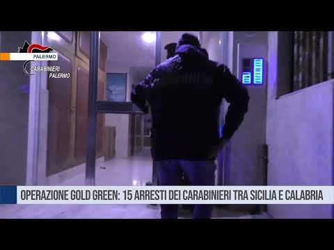 Palermo. Operazione Gold Green: 15 arresti dei carabinieri tra Sicilia e Calabria