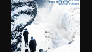 Echo & The Bunnymen - Porcupine (full album)