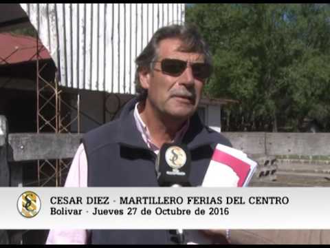 27-10-16 - Cesar Diez - Martillero Ferias del Centro