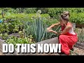 Do this NOW in the garden so you will be successful // Self Sufficient // Food for an ENTIRE YEAR.