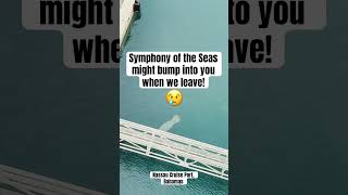 🙈I don’t want to see it!!! #royalcaribbean #symphonyoftheseas vs. manatee - Nassau, Bahamas #shorts