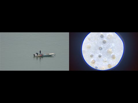 versión para compartir en línea eres aquí lugar de intercambio de historias