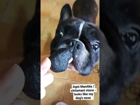 Agni Manitite pseudo "fake" tektite. cintamani stone from Indonesia