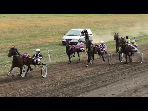 Trka "Riverstone" 12.07.2019  Maradona Mar - Dejan Simić