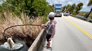 Fishing for Snook and Tarpon in the Most DANGEROUS Canal in Florida!!!