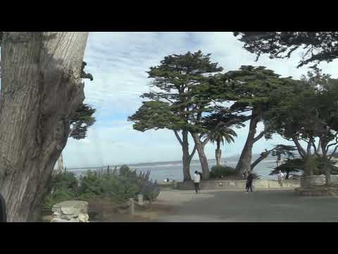 Monterrey Bay  and beach.