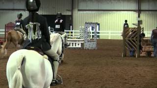 PF Blue Suede Shoes and Sophie Hailey (196)